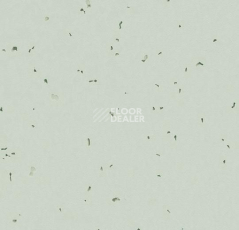 Линолеум Forbo Sphera Energetic 50233 swedish grey фото 1 | FLOORDEALER